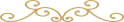 Group-33-.png